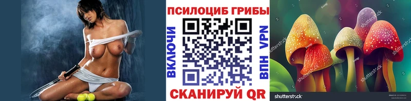 Псилоцибиновые грибы прущие грибы  Красноперекопск 